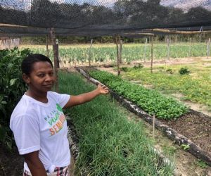 Agricultura familiar emprega quase 80% dos trabalhadores no campo, diz Censo do IBGE