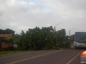 Chuva e ventania causam estragos em José de Freitas