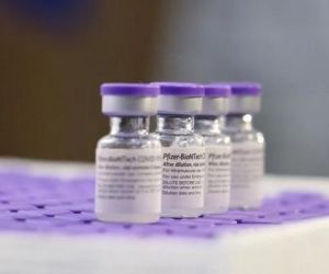 Piauí recebe mais 31.590 doses da Pfizer; vacina será distribuída junto com a Janssen e Coronavac