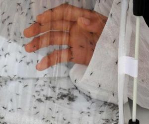 Casos de morte por dengue aumentam 5 vezes em relação a 2018