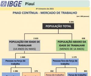 IBGE: cresce o número de pessoas que desistiram de procurar emprego no Piauí