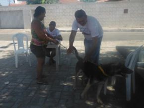 Barão de Grajaú realizou vacinação anti-rábica