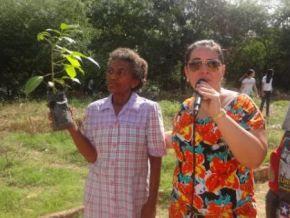 Caminhada marcou o Dia do Meio Ambiente em Floriano