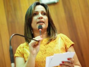 Rejane Dias cobra assistência às pessoas com doença celíaca para pacientes de baixa renda