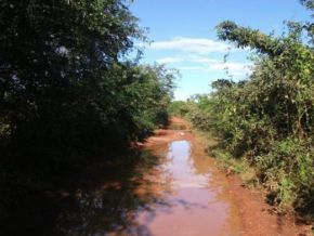 Vereador de Jatobá do PI denuncia que alunos correm risco em péssimas estradas
