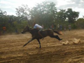 Realizada com sucesso a corrida de prado de Barão de Grajaú