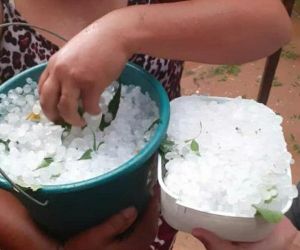 Chuva de granizo e ventos fortes derrubam árvores e destelham casas no Sul do Piauí