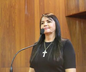 Deputada Teresa Britto elogia OAB-PI pela criação de novas diretorias