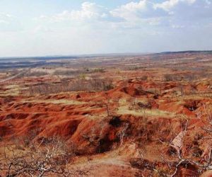 No Piauí, cientista alerta para avanço na degradação do solo