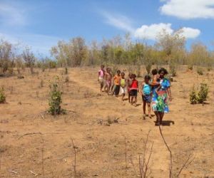 Apesar das chuvas, estiagem ainda castiga municípios do Piauí