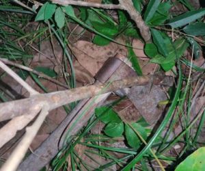 Homem é morto com golpes de machado após confusão com amigo no Norte do Piauí