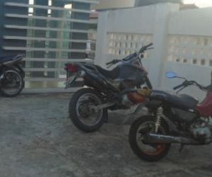 Moto Tático da PM recupera motocicleta roubada em Floriano