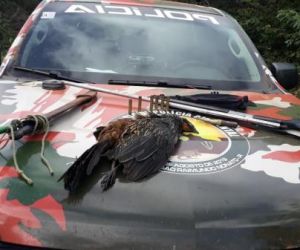 PM prende 9 caçadores e apreende animais em Jurema