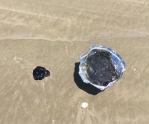 Ibama atualiza registros de manchas de óleo nas praias e inclui Ilha Grande no Piauí