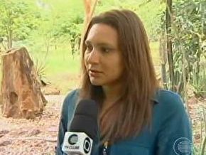 PI apura falta de preservação do Parque Ambiental Floresta Fóssil