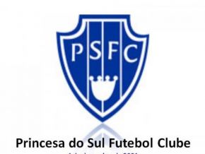 Time do Princesa do Sul estréia com reforços