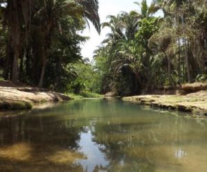 Pescadores morrem afogados em riacho de Campo Maior