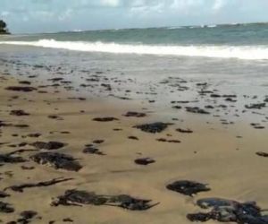 Marinha investiga manchas de óleo em ilha do Delta do Parnaíba
