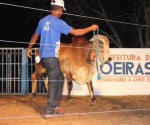 7° edição do Expoeiras 2019 reúne multidão com grande programação
