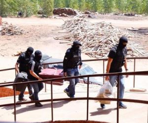 Segurança incinera 200 quilos em drogas apreendidas