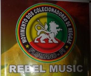 Chapa 02 vence eleição para presidência do Movimento de Colecionadores de Reggae de Floriano