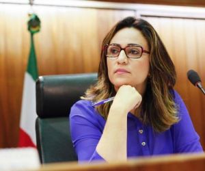 Projeto de Rejane Dias propõe criação de Delegacia da Criança e do Adolescente em Floriano