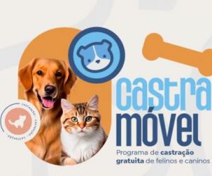 Abertura oficial das atividades de castração pelo Castramóvel em Floriano acontece nesta segunda
