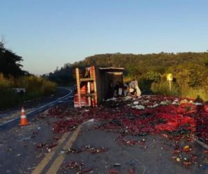 Caminhão tomba na BR-343 e deixa dois feridos