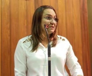 Deputada Flora propõe homenagem aos 30 anos da Uespi
