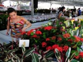 Teresina recebe 2º Festival de Flores de Holambra de 11 a 21 de agosto