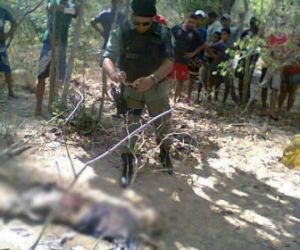 Restos mortais de homem são encontrados na zona rural de União