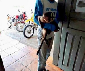 Polícia prende duas pessoas e resgata macacos-prego no Piauí