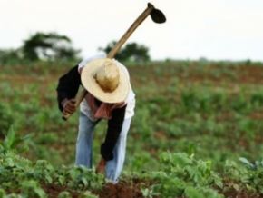 Agricultores baronenses aderem ao programa de Microcrédito Rural do Banco do Nordeste
