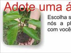 Adote uma árvore, escolha sua muda e nós a plantaremos com você