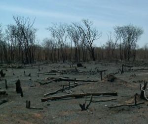 MP-PI recomenda que prefeitura de São Raimundo Nonato crie brigada de combate a incêndios