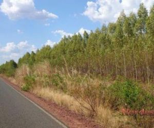 Estado regularizou 120 mil hectares de terras em 2016 no Piauí
