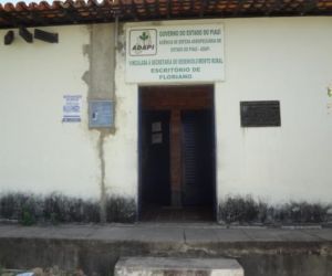 Prazo para certificação contra a aftosa termina no domingo, alerta Coordenador da ADAPI