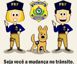 Estudo estima custo dos acidentes de trânsito em rodovias