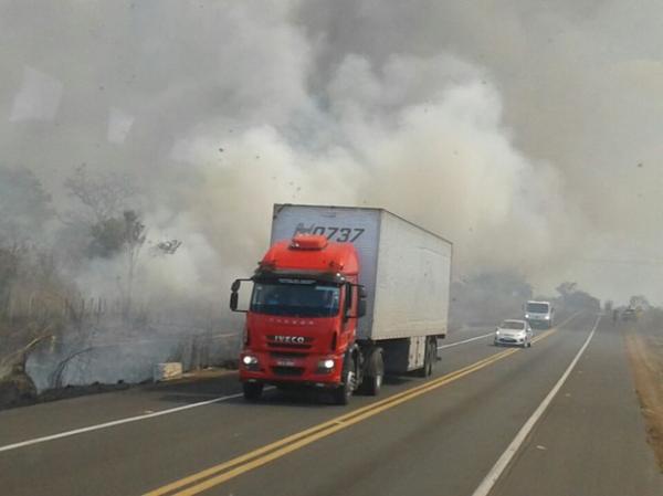 Fogo atinge &aacute;rea pr&oacute;ximo a BR-343 em Campo Maior.(Imagem:Patr&iacute;cia Andrade/G1)