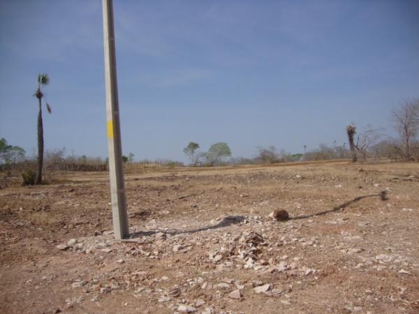 Eletrifica&ccedil;&atilde;o Rural(Imagem:reda&ccedil;&atilde;o)