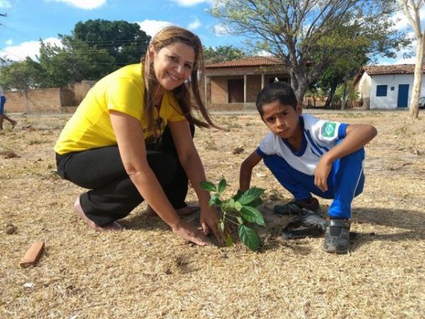 Projeto "Plantando a Esperança" realiza arborização na praça do bairro Taboca