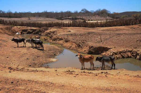 Governo do Piauí decreta emergência em mais 25 municípios por conta da seca