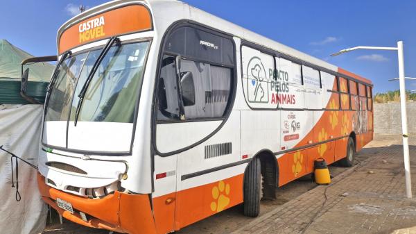 Bus&atilde;o da Castra&ccedil;&atilde;o come&ccedil;a atendimento gratuito e disponibiliza 500 vagas em Floriano(Imagem:Secom)