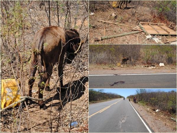 Ele estava em uma carro&ccedil;a quando foi atropelado por caminh&atilde;o da empresa Schincariol de S&atilde;o Raimundo Nonato.(Imagem:saoraimundo.com)