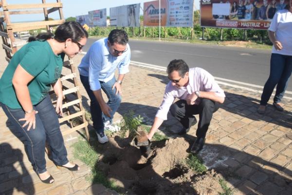 Secretaria de Meio Ambiente inicia projeto de arborização da cidade.(Imagem:Secom)