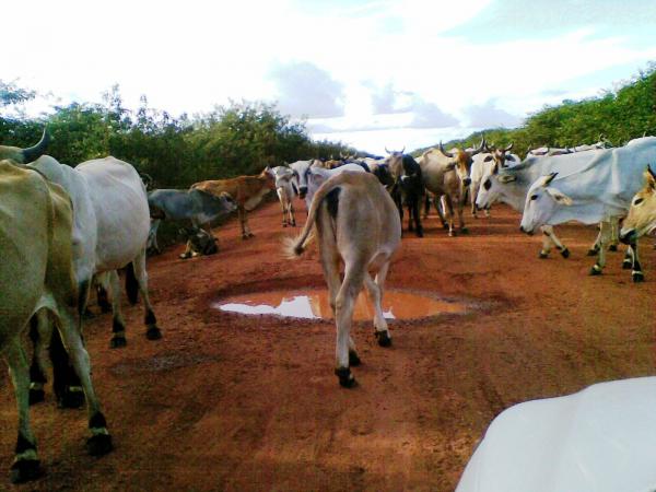 Internauta envia fotos para reclamar situa&ccedil;&atilde;o das estradas do Piaui(Imagem:Gil Coelho)
