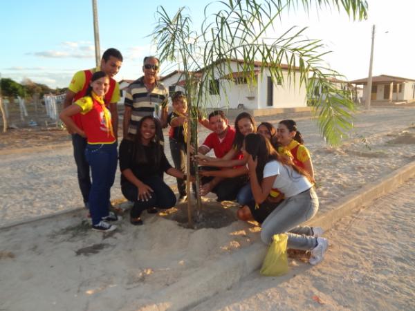 Dia do Meio Ambiente &eacute; marcado por plantio de mudas em Floriano.(Imagem:FlorianoNews)