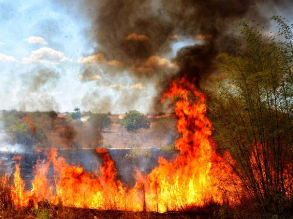 Cidade do Piauí registra o maior número de incêndios do Brasil