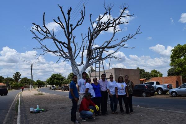 Projeto Abrace Floriano embeleza Anel Vi&aacute;rio(Imagem:Secom)