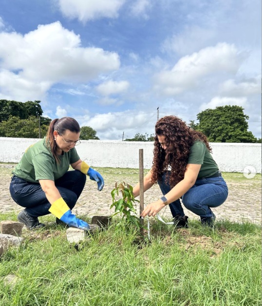 Prefeitura realiza plantio de árvores em praças e espaços públicos de Floriano